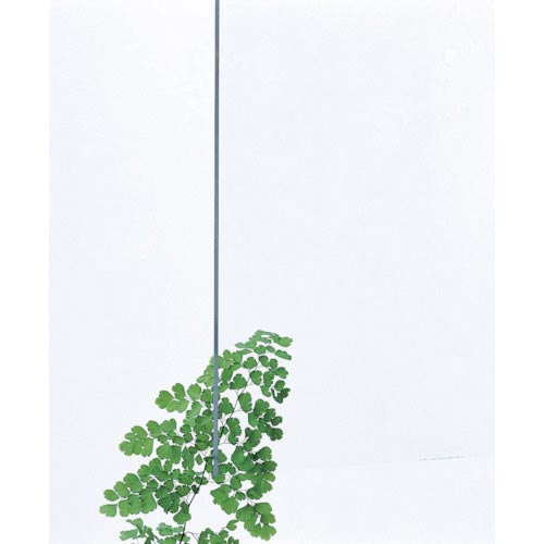 光 アクリル板(透明)3×320×545