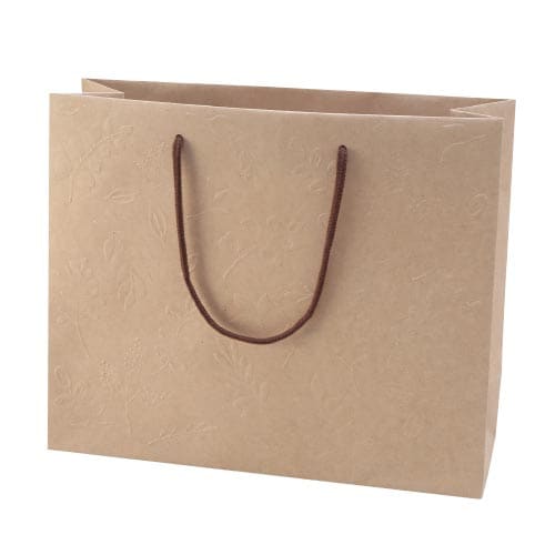 手提袋グリーナリーバッグクラフトL×10