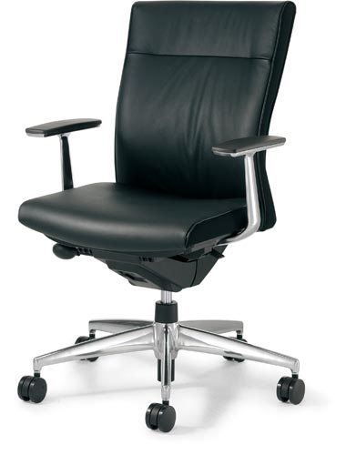 プント ロー 革張り アルミ肘 ランバー E6 V