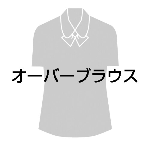 ワンピース3020SCブルー×エクルベージュEL