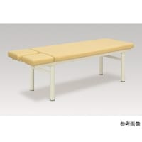 高田ベッド 前開き有孔H型DXベッド 幅65×長さ180×高さ70 白 TB372 1台