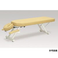 高田ベッド GSイージーベッド5型 幅60×長さ170×高さ50 ライムグリーン TB603 1台