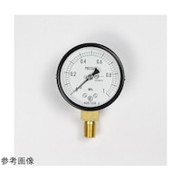 長野 普通形圧力計(Φ60) 立形A枠 6MPa 検査証明書付 AA10171 1個