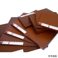 デュポン ベスペルSP1 茶 T31 W254×L10 69483635 1個