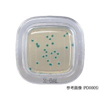 hw@y①z؂`FbNcc@wf`kV|n
