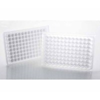 �r�j�o�������������@�t�B���^�[�v���[�g�@�P�O�����@�W�T�W�Q�@�P��