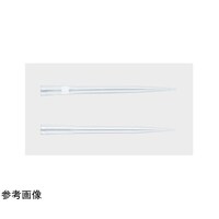 T[TCGeBtBbN@`bv@`qs@POOO@qd`bg@q