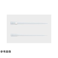 T[TCGeBtBbN@`bv@`qs@QOO@qd`bg@kq