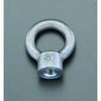 アイナット(鍛造) EA638SP12