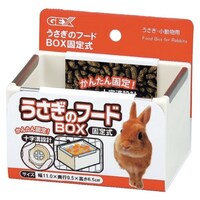 WFbNX@̃t[hanwŒ莮