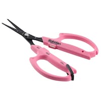 �T�{�e���@�Ԃǂ����@�a�U�l�`�s�@���|�p�͂��݁@�P��