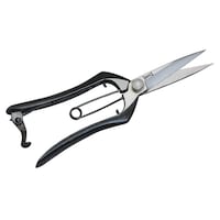 �h�E�J���@�b��������@�c�j�U�V�R�@���|�p�͂��݁@�P��