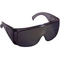 �L���@�Z�t�e�B�O���X�@�a�r�P�Q�O�O�f�@�ی상�K�l�E�S�[�O���i���̑��j�@�P��