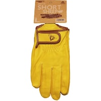 �L�^���}�@�r�g�n�q�s�@�r�g�d�d�o�@�k�@���X�P�U�@�r�v��܁@�P�o