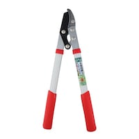 �O���R�[�|���[�V�����@���}�����~�j�@�`�X�O�O�@���|�p�͂��݁@�P��