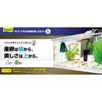 eg@eg@_J̔ɐByރZbg@k