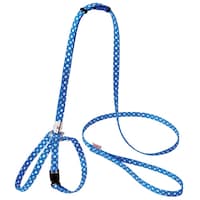 ペティオ CLドットハーネスリード