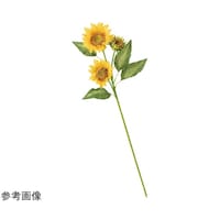 AY@Ђ܂葢ԃOXv[@XO@TTPRTP@TTPRTP@P