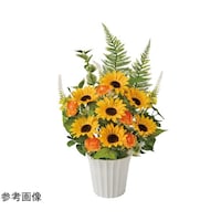 �A�Y�����@�t���b�V���Ђ܂�葢�ԃA�����W�T�T�����@�T�T�P�S�Q�P�@�T�T�P�S�Q�P�@�P��