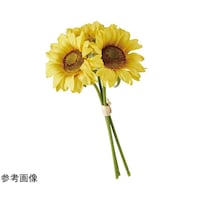 AY@Ђ܂葢ԃohQR@CG[@U{@TTPTWP@TTPTWP@PZbg