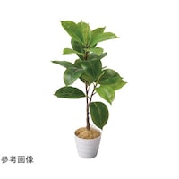 AY@tFCNO[|bg@SmL@TTQRSP@TTQRSP@P