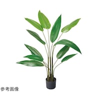 AY@tFCNO[@ϗtA@lH؁@Xg`A@PST@TTQRTQ@TTQRTQ@P