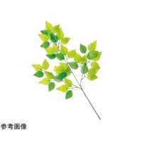 アズワン グリーンリーフ スプレー 12本 5524101 5524101 1セット