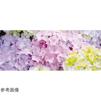 AY@fBXvCV[g@nChWAij@TTRRPP@TTRRPP@P