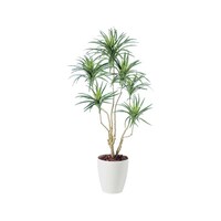 AY@rf@RVi@gR@PDS@XOVSX@XOVSX@P