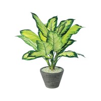 AY@rf@fBtF@oMAJ~[@XOVXX@XOVXX@P