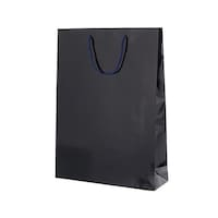 380x120x520mm 紙袋(フィル