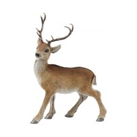 AY@giJCX^h@X^fBO@RWQTP@RWQTP@P