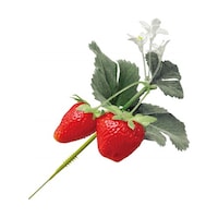 AY@tbVXgx[sbNȋԁjPQ{@RRPWVP@RRPWVP@P{