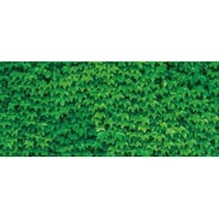 �A�Y�����@�O���[���V�[�g�@�E�H�[���O���[���@�U�P�V�T�S�U�W�P�@�U�P�V�T�S�U�W�P�@�P��