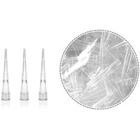 AY@sybg`bv@POʂk@PpbNiPOOO{j@obPOtk@obPOtk@PpbN