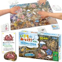 アーテック いきものみっけ!かるた うみべのいきもの  ※10個以上から注文可能(販売価格は1個単位の価格)