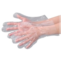 �d�a�t�m�n�@�|���G�`������܁@�m���C�R�P�O�S�������k�@�Q�O�O���~�Q�O�@�g���̂Ď��