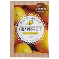 �}�K���w�@�Z���N�g�A���}�@�O���[�v�t���[�c�̍���