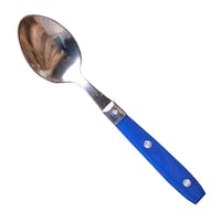 Jean Dubost Laguiole TBスプーン