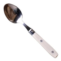 Jean Dubost Laguiole TBスプーン