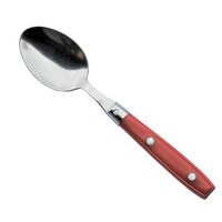 Jean Dubost Laguiole TBスプーン