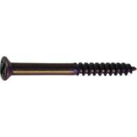 ダイドーハント DAIDOHANT HP ミニビス ブロンズ 2×36 12本入