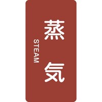 日本緑十字社 緑十字 JIS配管識別明示ステッカー 蒸気 HT401L 120×60mm 10枚組 アルミ 英文字入