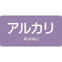 日本緑十字社 緑十字 JIS配管識別明示ステッカー アルカリ HY605S 30×60mm 10枚組 アルミ 英文字入