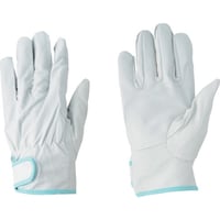 쐼HƁ@쐼@؃CW[Aet@Po@lTCY