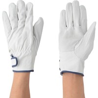 �쐼�H�Ɓ@�쐼�@�����C���W���[�A�e�t�@�P�o�@�k�T�C�Y