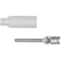 pi\jbNdvlb@o@≏핢t_^[qPOOR