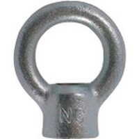 大洋製器工業 TAIYO アイナット 電気 M20(1220281)