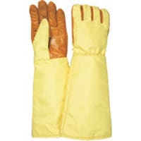 ɎqB@sfj@N[[pϔM܁@lyUTU