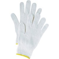 �v���X�@�i�s�w�@�R�R�O�S�X�R�j�R��@�P�Q�o�@�m�O�R�T�i�P�Q�@